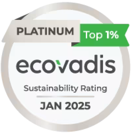 EcoVadis 2025 - Platinum Logo