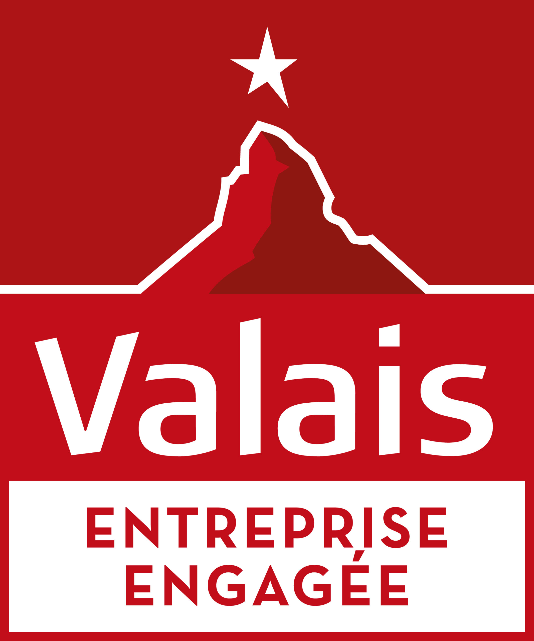 Valais Enterprise Logo