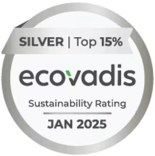EcoVadis 2025 - Silver Logo